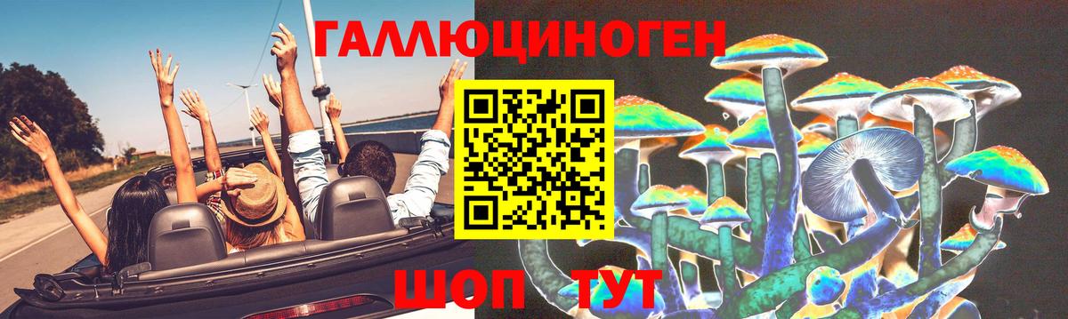 Псилоцибиновые грибы мицелий  Вход с VPN  Коряжма 